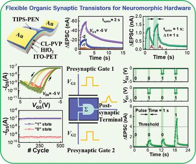 Induction Of Synaptic Plasticity In Flexible Organic Synaptic ...