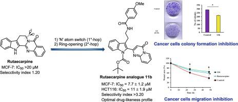 Rutaecarpine-inspired scaffold-hopping strategy and Ullmann cross ...