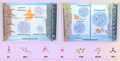 Tri-anions regulated solvation structure in intrinsically nonflammable ...