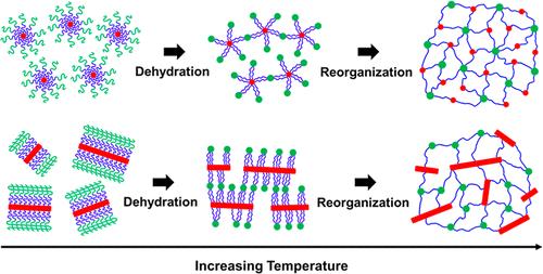 Effect of Micellar Morphology on the Temperature-Induced Structural ...