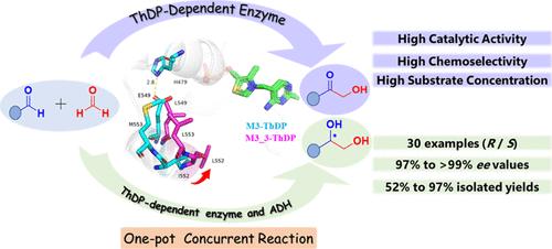 Manipulating Activity and Chemoselectivity of a Benzaldehyde Lyase for ...