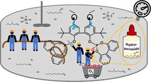 Studying the Recycling and Deactivation of Rh/Biphephos Complexes in ...