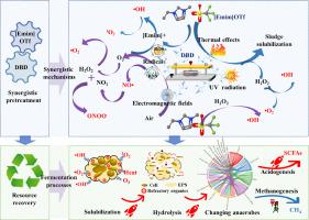 Ionic Liquid Coupled Plasma Promotes Acetic Acid Production During 