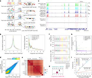 Mapping the chromatin accessibility landscape of zebrafish ...