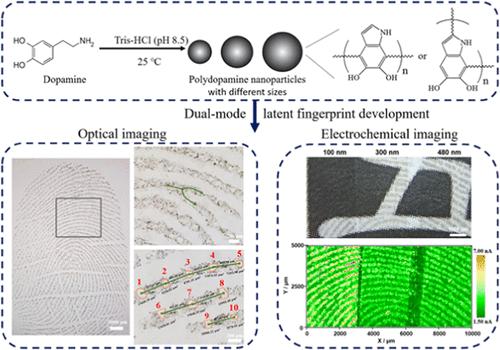 Particle Size-Tunable Polydopamine Nanoparticles for Optical and ...