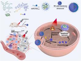 Biomimetic nanosystems harnessing NIR-II photothermal effect and ...