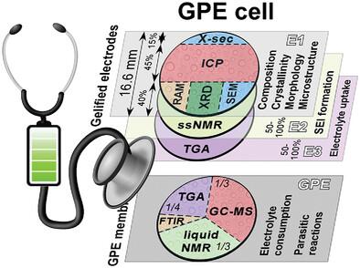 Diagnostic Protocols For Evaluating The Degradation Mechanisms In Gel 