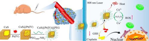 Pt(IV) Complexes Loaded Hollow Copper Sulfide Nanoparticles For Tumor ...