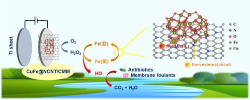 Antibiotic oxidation and fouling control of ceramic microfiltration ...