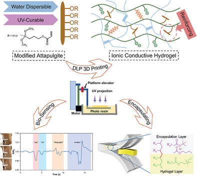 Attapulgite‐Reinforced Robust and Ionic Conductive Composite Hydrogels ...