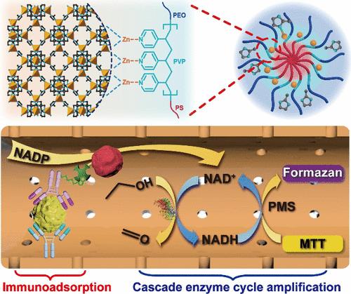 Coordination-Driven Templated Synthesis of Hierarchically Porous ...