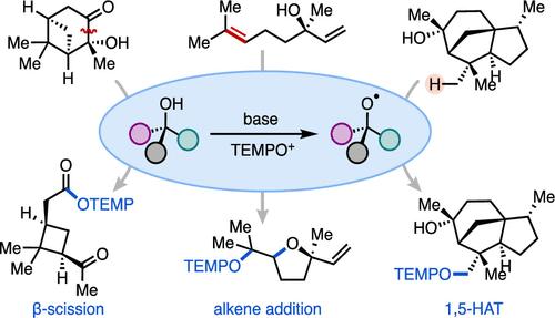 Accessing Alkoxy Radicals Via Frustrated Radical Pairs: Diverse ...