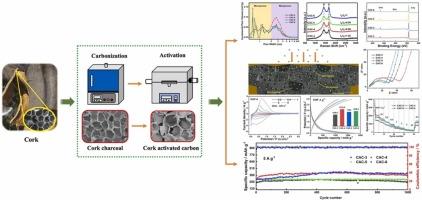 Hierarchical Porous Carbon With Honeycomb-like Structure As High ...