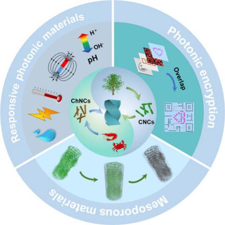 Polysaccharide Nanocrystals-Based Chiral Nematic Structures: From Self ...