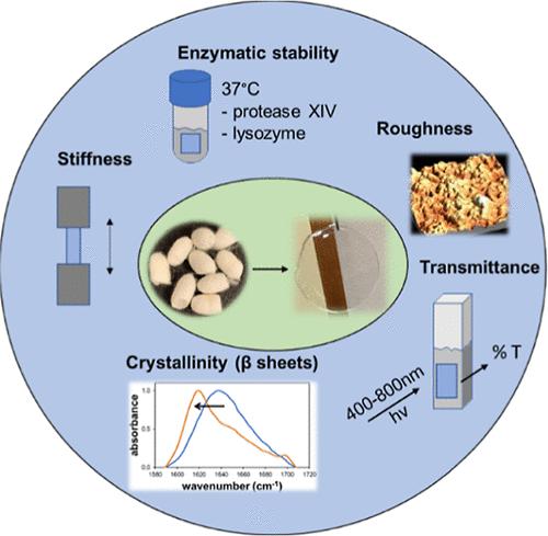 Comparative Analysis of Silk Fibroin Membranes across Cross-Linking ...