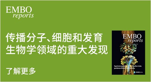 传播分子、细胞和发育生物学领域的重大发现