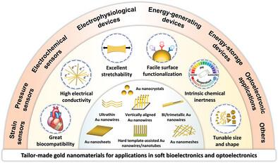 Tailor-Made Gold Nanomaterials for Applications in Soft Bioelectronics ...