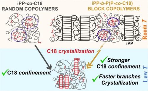 Random and Block Copolymers of Isotactic Polypropylene with Higher α ...