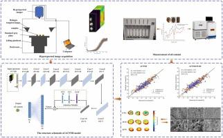 Prediction Of Oil Content In Camellia Oleifera Seeds Based On Deep Learning And Hyperspectral