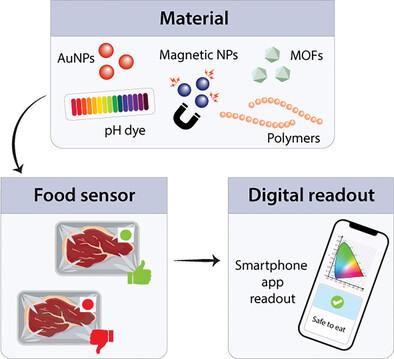 Digitalization of Colorimetric Sensor Technologies for Food Safety ...