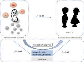 Thyroid-stimulating hormone (TSH) mediates the associations between ...