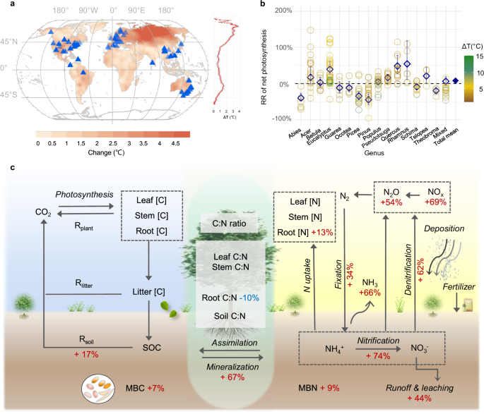 Warming exacerbates global inequality in forest carbon and nitrogen