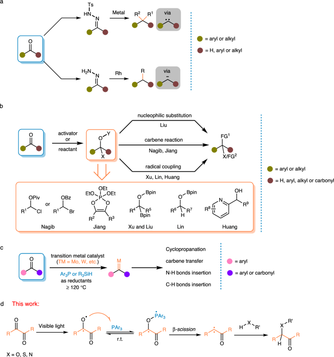 Visiblelightmediated deoxygenative transformation of 1,2dicarbonyl