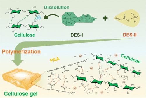 Robust and Highly Conductive Cellulose-Based Eutectogel for Flexible ...