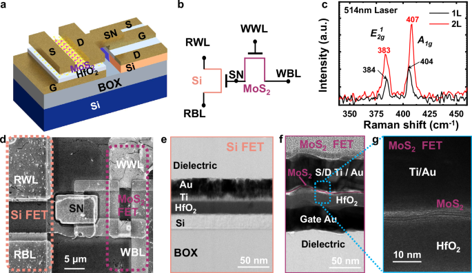 High Performance Si-MoS2 Heterogeneous Embedded DRAM,Nature ...