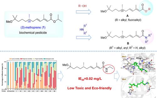 Discovery of Enantiopure (S)-Methoprene Derivatives as Potent ...