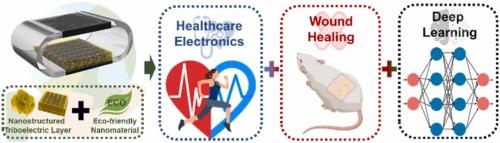 A Flexible Sustainable And Deep Learning Assisted Triboelectric Patch