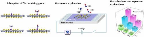 Single Rh Atom Substitution Doping In NiS2 Monolayer For Density