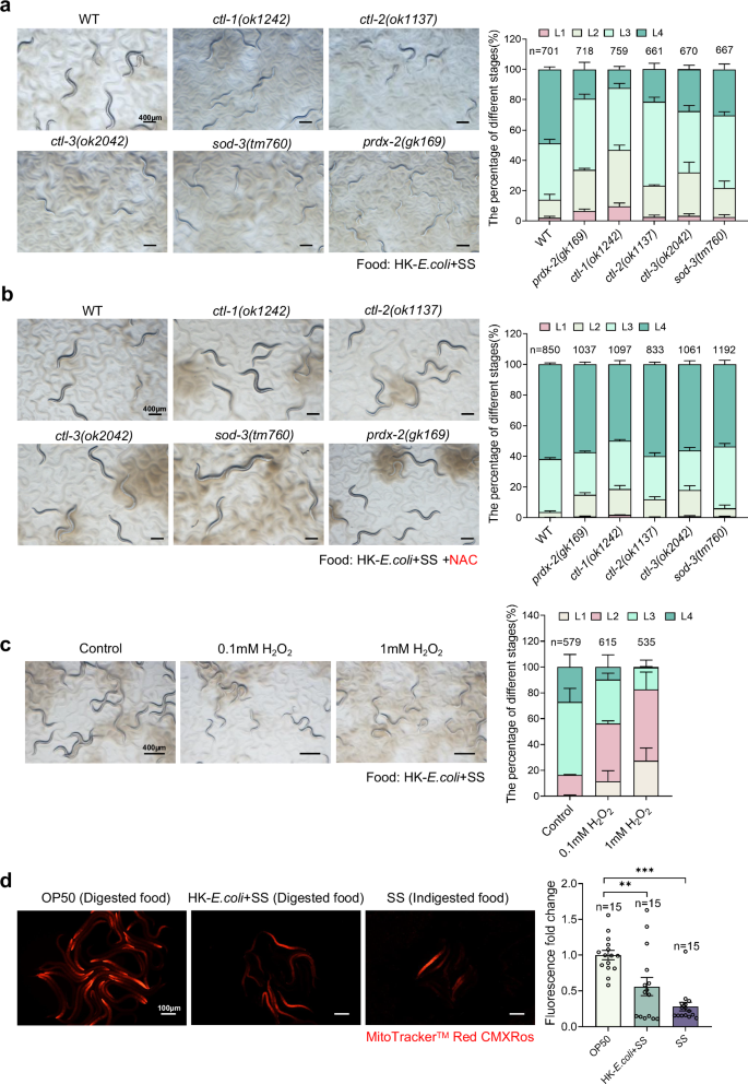 Neuronal Prdx Mediated Ros Signaling Regulates Food Digestion Via