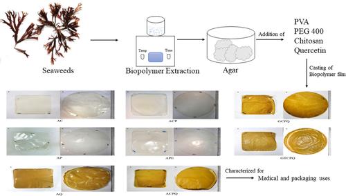 Fabrication And Characterization Of Agar And Seaweed Derived Biomembrane Films For Biomedical