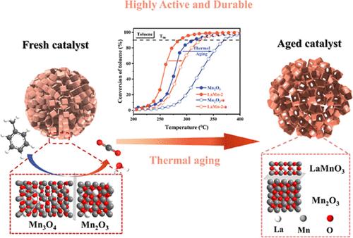 Sintering Evolving Mn O Lamno Perovskite Heterointerfaces As Highly