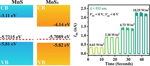 High Performance Self Powered Photodetectors Based On The Mns Mos