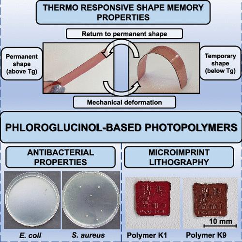 PhloroglucinolBased Antimicrobial ShapeMemory Photopolymers for Microimprint Lithography,ACS