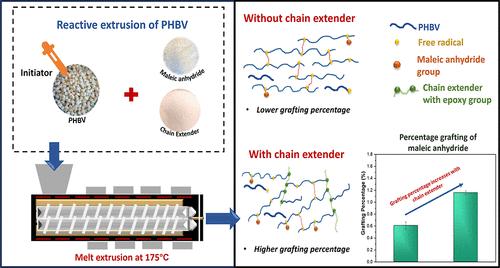 Maleation Of Biodegradable Poly Hydroxybutyrate Co Hydroxyvalerate