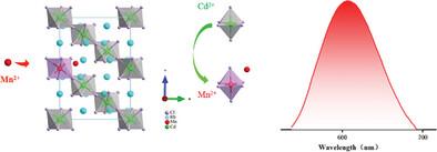 Efficient And Stable RedOrange Emission From Polaronic Magnetic