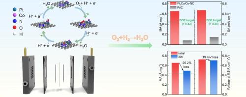 Unveiling The Synergistic Effect Of Metal Nitrogen Doped Carbon And