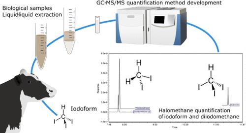 Gas Chromatographytandem Mass Spectrometry Method For Analyses Of Iodoform And Diiodomethane In