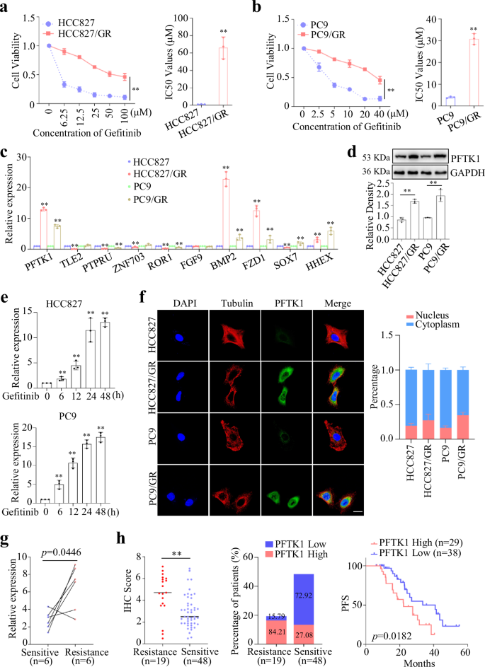 Methylation Modulated Pftk Regulates Gefitinib Resistance Via Wnt