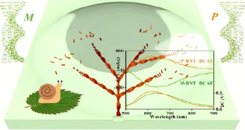 Seeding Control In Chirality Triggering Of Red Emitting Organic Charge