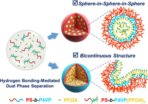 Bicontinuous Block Copolymer Microparticles Through Hydrogen-bonding 