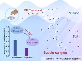 Nanoscale Insight Into The Interaction Mechanism Underlying The Transport Of Microplastics By