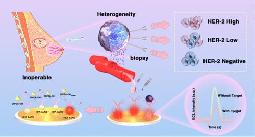 Clinical Evaluation Of The Her2 Extracellular Domain In Breast Cancer Patients By Herceptin 2381