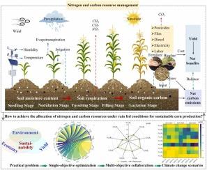 Balancing soil carbon emissions and productivity in maize ...