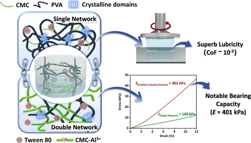 Physically Cross-Linked Gradient Double Network Hydrogel with Self ...
