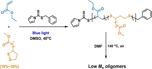 Visible Light Photoiniferter Polymerization for the Synthesis of ...