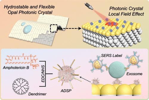 Photonic Crystal-Enhanced Surface-Enhanced Raman Scattering Biosensor ...